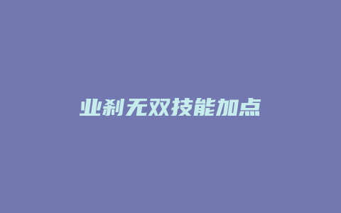 业刹无双技能加点