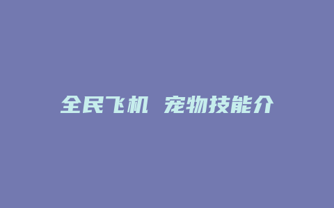 全民飞机 宠物技能介绍