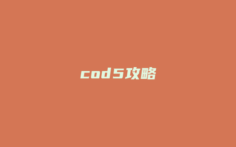 cod5攻略