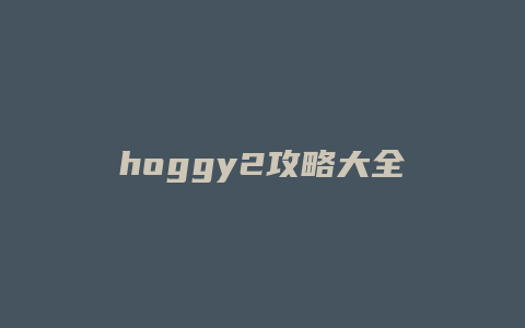 hoggy2攻略大全