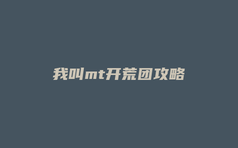 我叫mt开荒团攻略