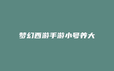 梦幻西游手游小号养大号攻略