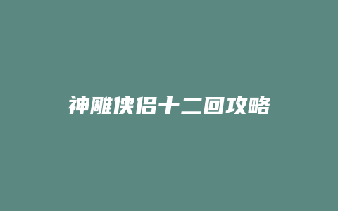 神雕侠侣十二回攻略