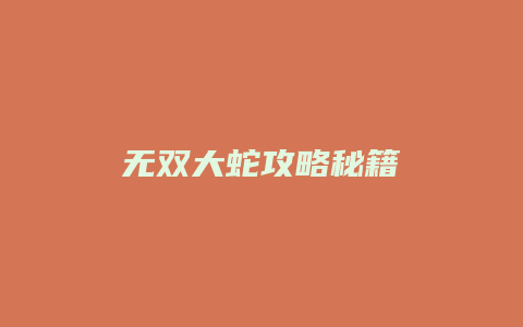 无双大蛇攻略秘籍