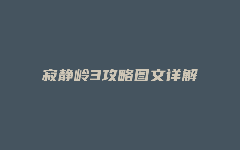 寂静岭3攻略图文详解