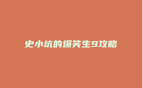 史小坑的爆笑生9攻略