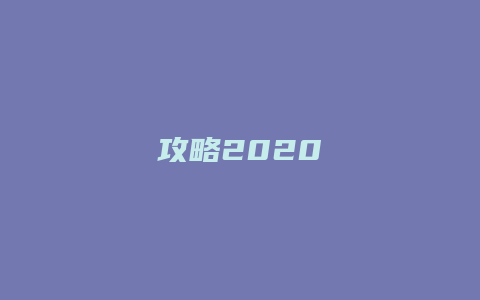 攻略2020