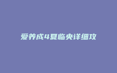 爱养成4夏临央详细攻略