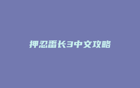 押忍番长3中文攻略