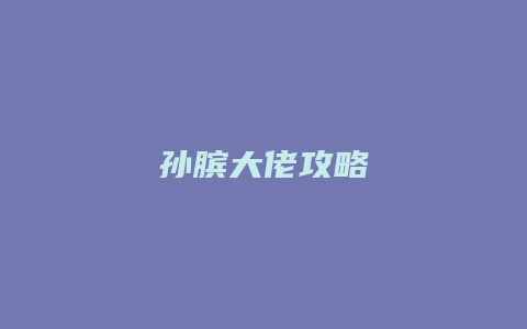 孙膑大佬攻略