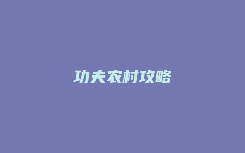 功夫农村攻略