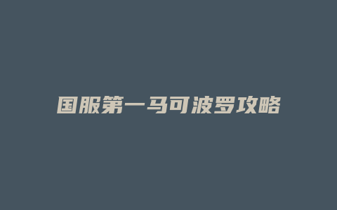 国服第一马可波罗攻略