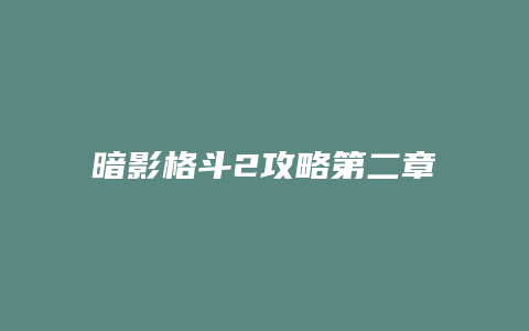 暗影格斗2攻略第二章