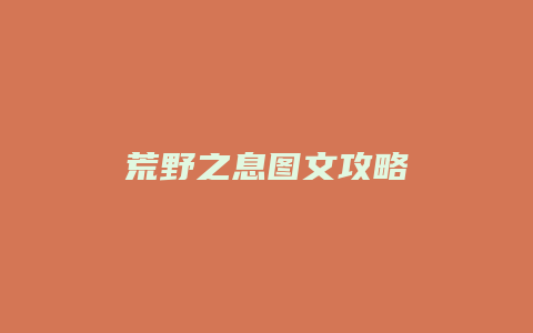 荒野之息图文攻略