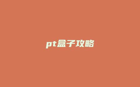 pt盒子攻略