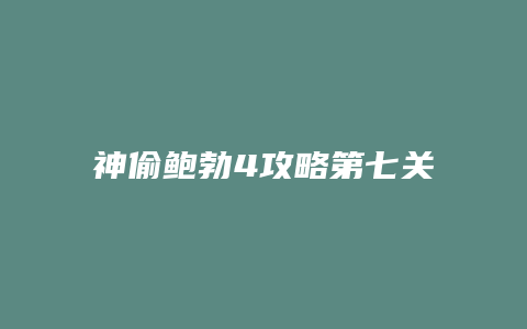 神偷鲍勃4攻略第七关