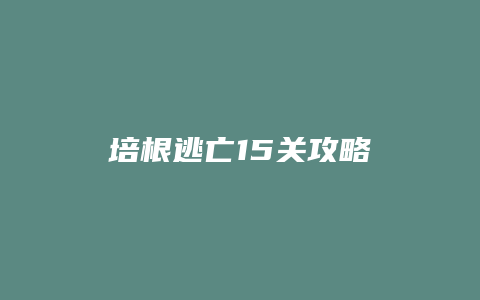 培根逃亡15关攻略