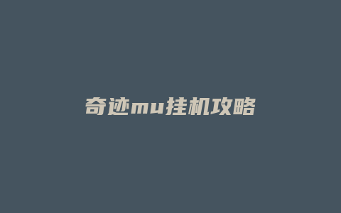 奇迹mu挂机攻略