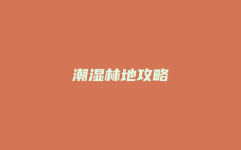 潮湿林地攻略