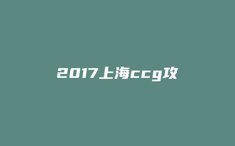 2017上海ccg攻略