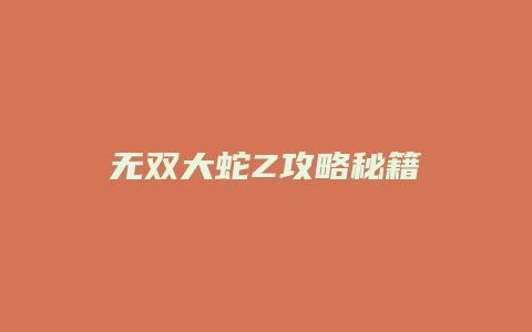 无双大蛇Z攻略秘籍