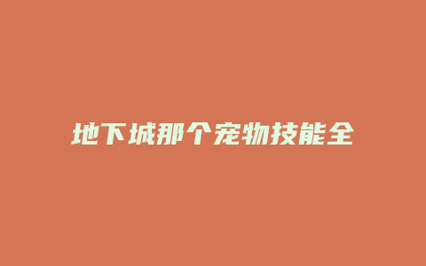 地下城那个宠物技能全霸体