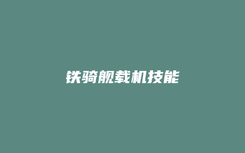 铁骑舰载机技能