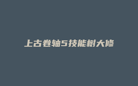 上古卷轴5技能树大修9