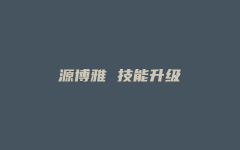 源博雅 技能升级